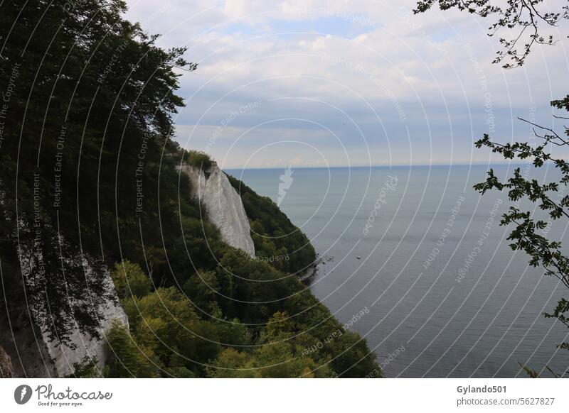 Blick von den weißen Kreidefelsen am Kaiserstuhl im Nationalpark Jasmund auf der Ostseeinsel Rügen Klippe jasmund White Cliffs Buchenwald Insel