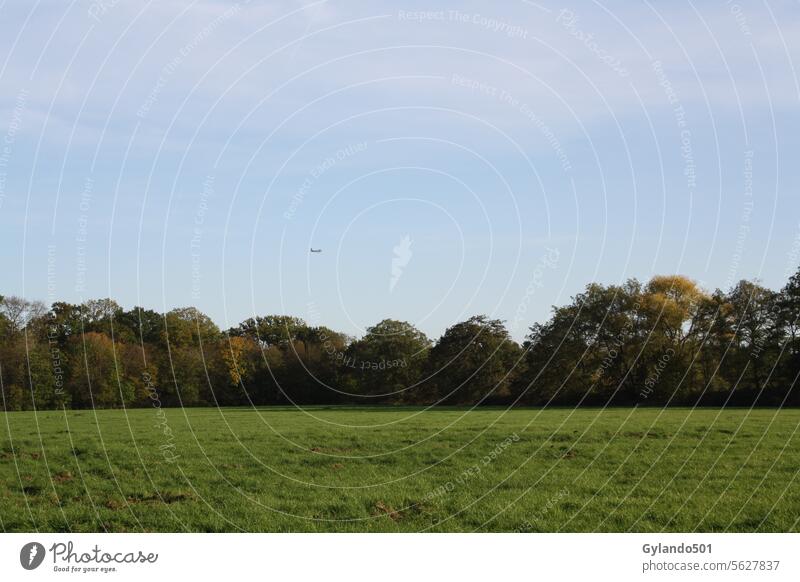 Schwanheimer Wiese im Frühherbst mit Flugzeug im Landeanflug Herbst Hintergrund schön Schönheit blau Windstille Stadtwald farbenfroh Tag Umwelt Europa fallen