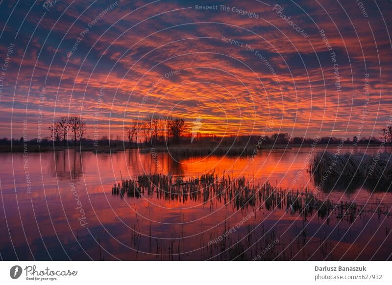 Sonnenuntergang über dem See, Märzabend Wasser Himmel Natur Baum Reflexion & Spiegelung im Freien Cloud Landschaft Morgendämmerung Horizont Abend orange schön