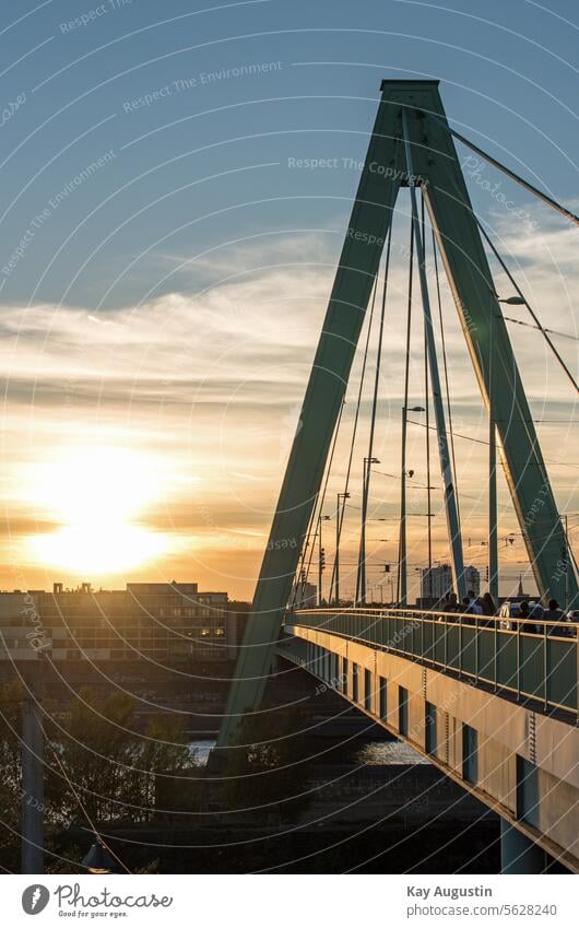 Severinsbrücke Köln Abendsonne Köln-Deutz Brücke Außenaufnahme Farbfoto Rhein Himmel Fluss Stadt Wahrzeichen Sehenswürdigkeit Architektur Deutschland