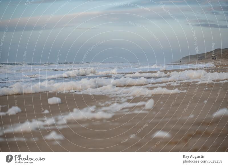 Schaumalgen am Strand Sylt Landschaft Strand Zauber Nordseestrand Schaumberge Schaumteppiche Algenblüte Organismus Sandstrand Brandung Dezember 2023