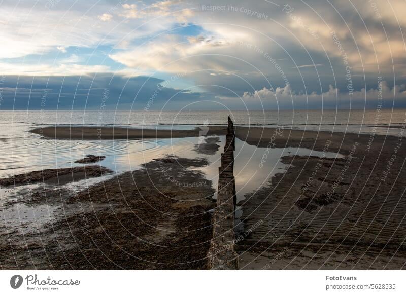 Wellenbrecher an der Ostseeküste Horizont Holzpfähle Sand Windstille friedlich Natur Wasser Schönheit Hintergrund MEER Sommer Strand Meer Holzbuhne im Freien