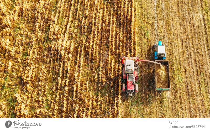 Luftaufnahme der ländlichen Landschaft. Mähdrescher und Traktor arbeiten im Maisfeld. Sammelt trockene Maispflanzen. Ernte von Mais im Spätsommer. Landwirtschaftliche Maschine Sammeln Pflanzen im Maisfeld. Vogelperspektive Drohne Ansicht