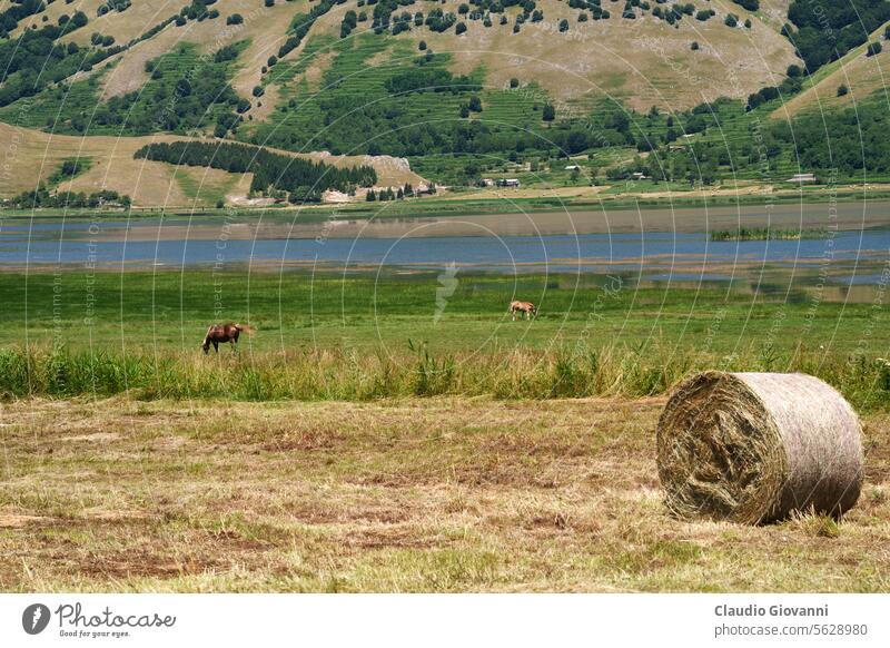 Berglandschaft von Matese, Kampanien, Italien Campania caserta Europa Juli matese Ackerbau Ballen Farbe Land Tag Feld grün Pferd Landschaft Berge u. Gebirge