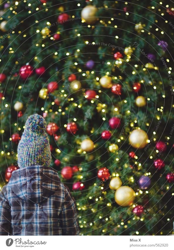 uih Weihnachten & Advent Mensch Kind Kleinkind Mädchen Junge Kindheit 1 1-3 Jahre 3-8 Jahre glänzend groß Gefühle Stimmung Überraschung Weihnachtsbaum