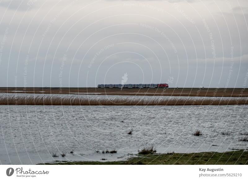 Sturmtief "Zoltan" Tief "Zoltan" Natur Wasser Umwelt Farbfoto Landschaft Außenaufnahme Himmel Tag Wolken Wetter Horizont Sonnenlicht Flut Unwetter Hochwasser