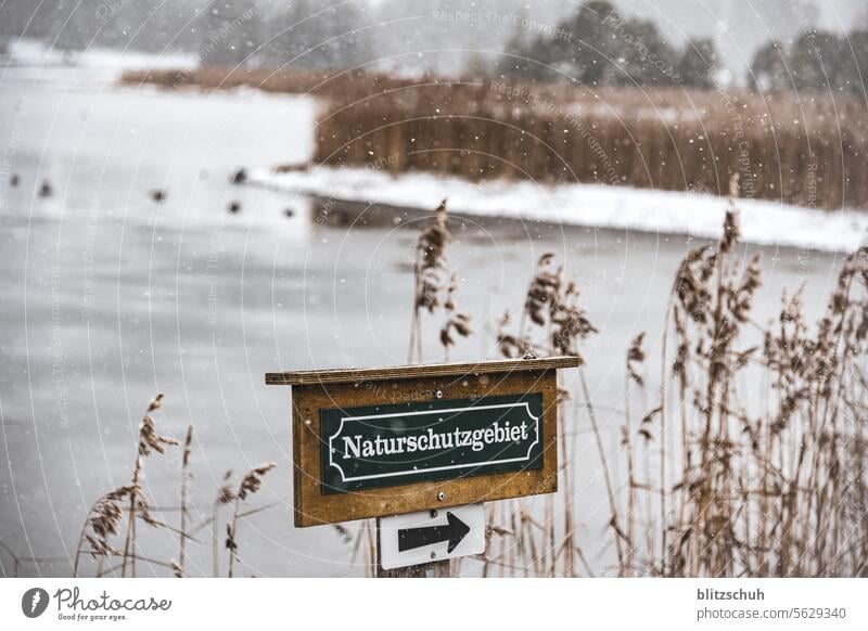 Naturschutzgebiet an einem Bergsee Sonntag Freizeit & Hobby Freiheit Berge Schnee Schweiz Suisse Switzerland Landschaft Umwelt Lenzerheide