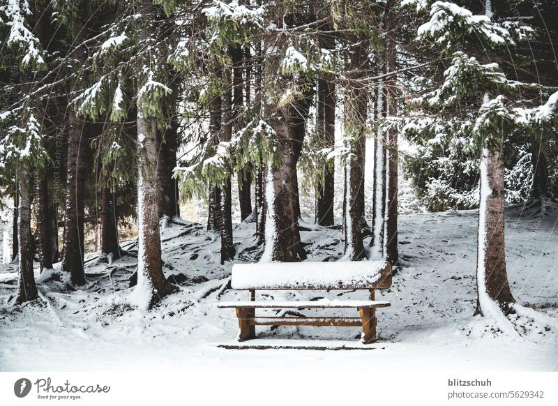 Eine leicht schneebedeckte Bank im November Sonntag Freizeit & Hobby Freiheit Berge Schnee Schweiz Suisse Switzerland Landschaft Umwelt Lenzerheide