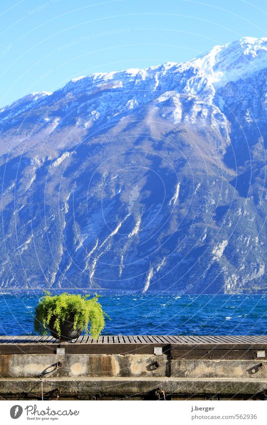 grün vor blau Ferien & Urlaub & Reisen Winter Winterurlaub Berge u. Gebirge Umwelt Natur Landschaft Wasser Wolkenloser Himmel Schönes Wetter Wind Alpen Gipfel