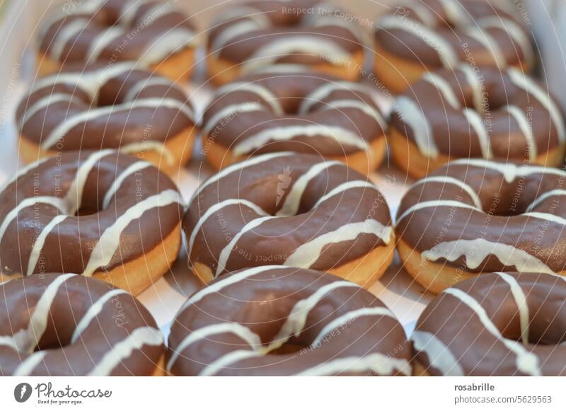 weg damit! | jede Menge leckerer Donuts Doughnut Gebäck Bäckerei geschmackvoll Lebensmittel Krapfen amerikanisch Dessert süß Snack ungesund Frühstück Schokolade