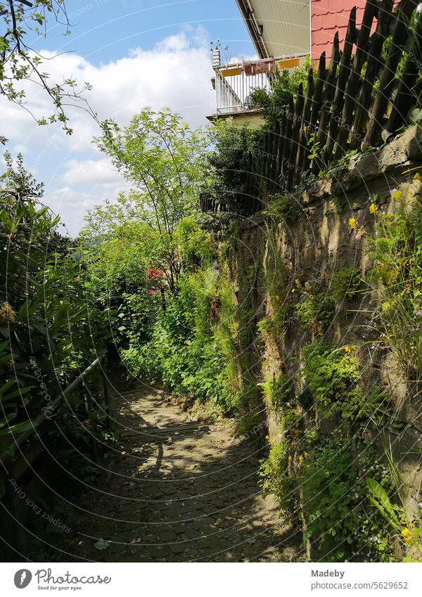 Altes Mauerwerk und Kopfsteinpflaster im Ziegenbrink, einer Twete oder Stiege in der Altstadt von Oerlinghausen am Hermannsweg bei Bielefeld im Teutoburger Wald in Ostwestfalen-Lippe