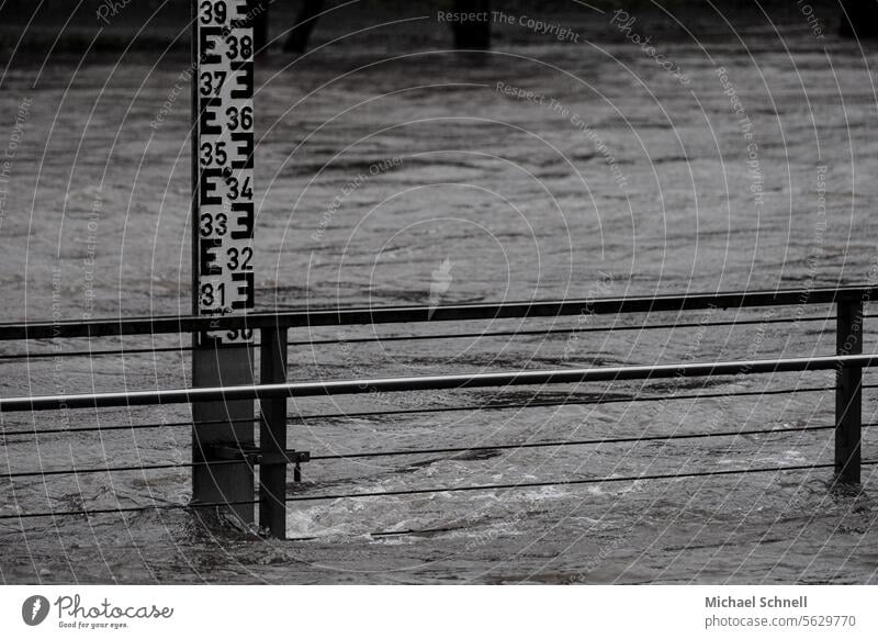 Hochwasser an der Lenne: Pegel hochwasserlage hochwasser deutschland Wasser Überschwemmung Klimawandel Unwetter Desaster Überflutung Flutkatastrophe