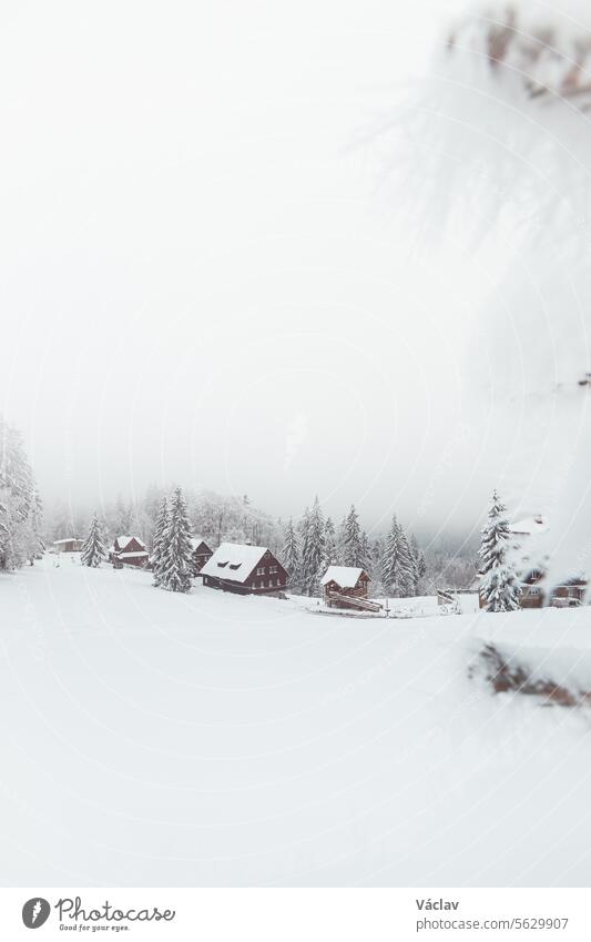 Nebeliger Morgen in einer verschneiten Landschaft in Visalaje, Beskiden, im östlichen Teil der Tschechischen Republik. Ein weißes Märchen in den Wintermonaten