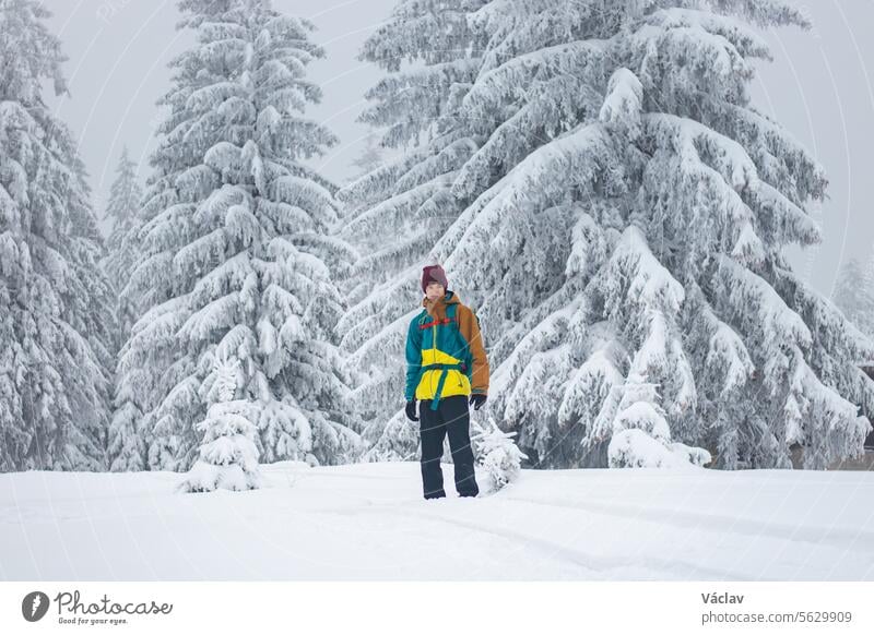 Junger Sportler beim Snowboarden im Freeride in den Beskiden, Tschechische Republik. Snowboarden in wilder Natur. Freiheit der Bewegung Snowboarding Wunderland