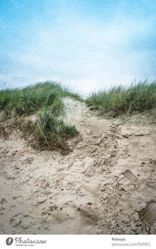 Sand und Himmel schön Freizeit & Hobby Ferien & Urlaub & Reisen Sommer Strand Meer Natur Landschaft Wolken Wetter Wind Gras Küste Fußspur natürlich blau gelb