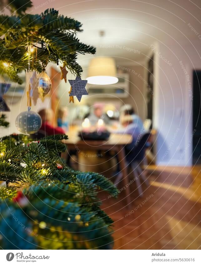 Weihnachten im Kreise der Lieben Tannenbaum Weihnachten & Advent Weihnachtsdekoration Tradition Feste & Feiern Weihnachtsbaum Kugeln Lichter Baumschmuck