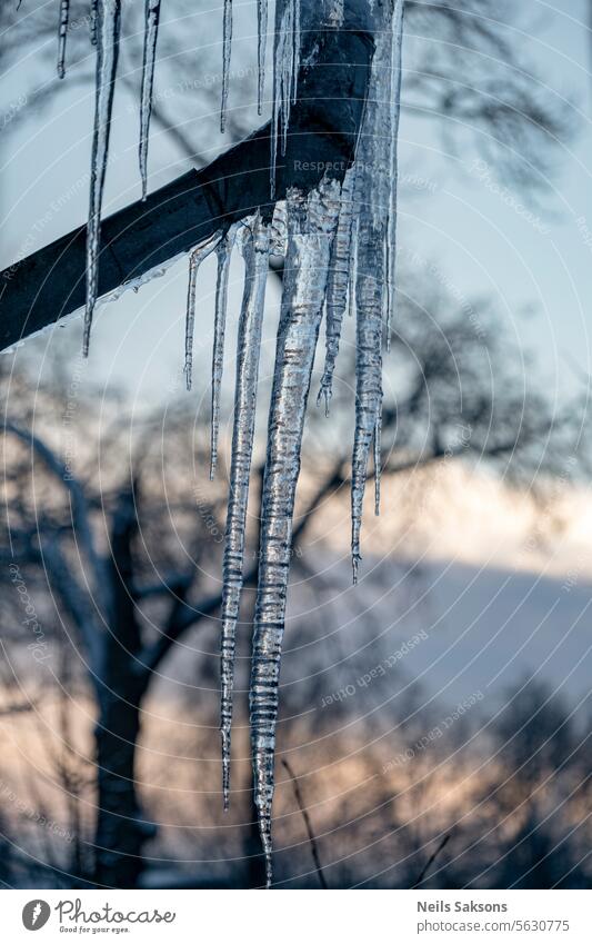 Eiszapfen im Winter, die vom Hausdach und vom Metallabflussrohr hängen. Kaltes Wintermorgenlicht Hintergrund schön Schönheit blau hell Gebäude Sauberkeit kalt