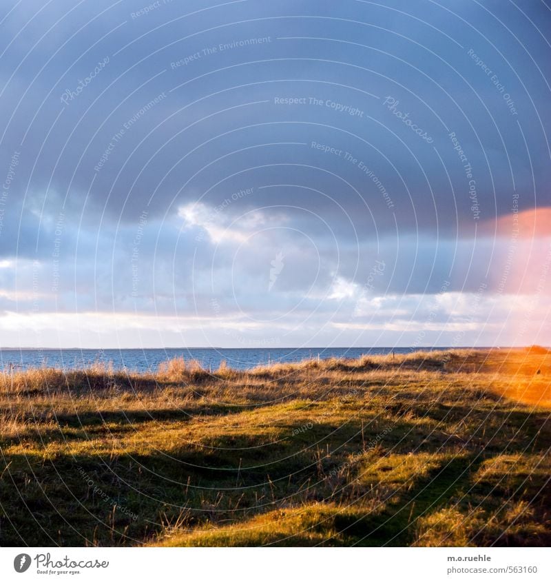 the ghost Ferien & Urlaub & Reisen Tourismus Ausflug Ferne Freiheit Sonne Strand Meer Umwelt Natur Landschaft Luft Himmel Wolken Horizont Herbst Wetter Wind