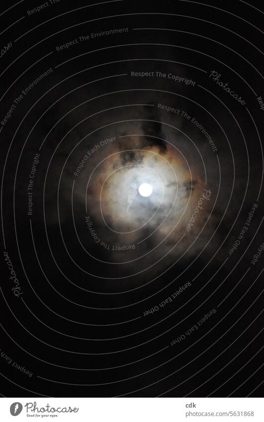 Weihnachtsvollmond vom 26.12.2023 Vollmond Mond Nacht Himmel dunkel Mondschein Wolken Lichterscheinung Nachthimmel leuchten Außenaufnahme geheimnisvoll