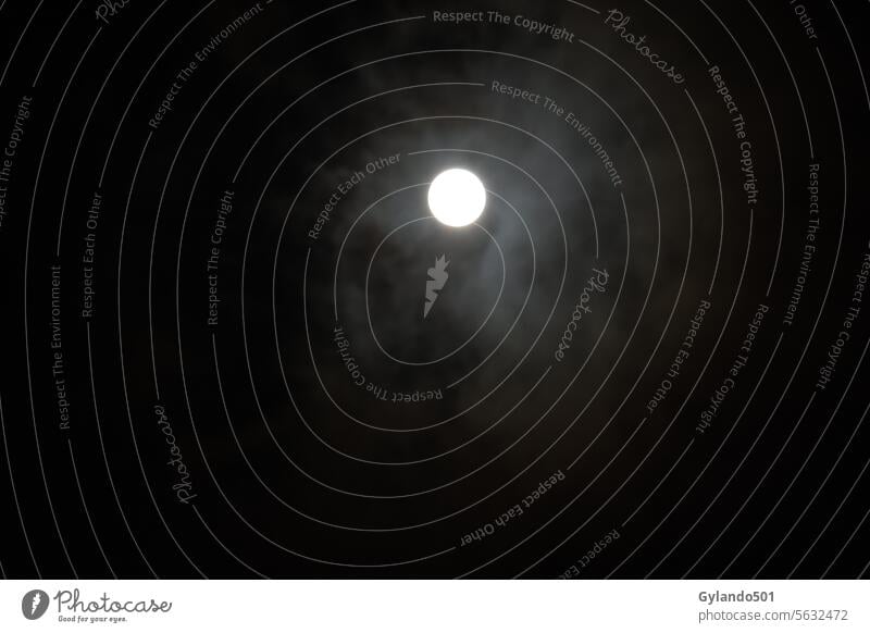 Vollmond an einem leicht verschleierten Himmel Mond Nacht dunkel satt Raum Mondschein hell Astronomie schwarz Mond- Nebel Finsternis Licht Cloud Wolken wolkig