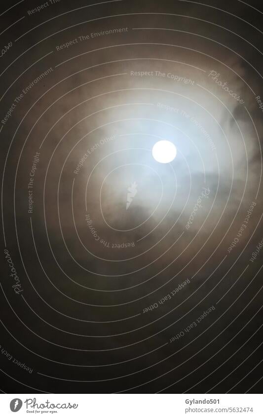 Vollmond bei leicht verschleiertem Himmel Mond Nacht dunkel satt Raum Mondschein hell Astronomie schwarz Mond- Nebel Finsternis Licht Wolken wolkig Natur