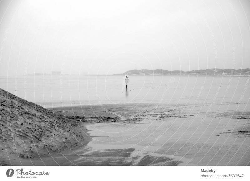 Blick von der Seebrücke auf das Watt und die Dünen von St. Peter-Ording im Naturschutzgebiet an den Salzwiesen bei Regenwetter im Kreis Nordfriesland in Schleswig-Holstein im Herbst an der Nordseeküste in neorealistischem Schwarzweiß