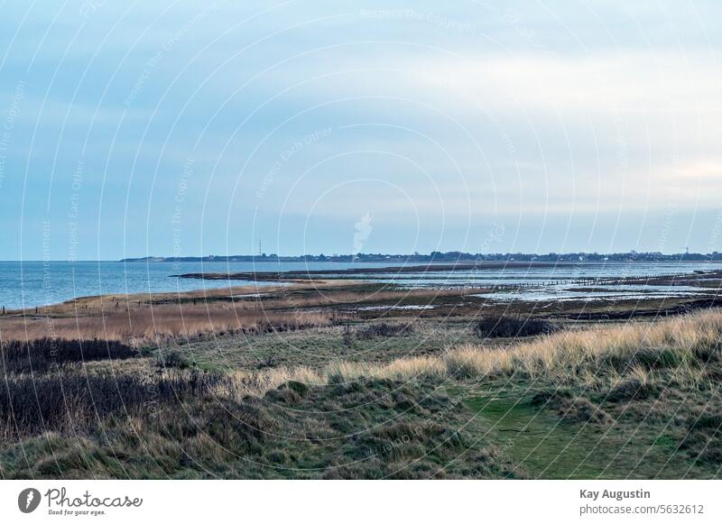 Am Wattenmeer Nordsee Küste Nordseeküste Nationalpark Wattenmeer Naturschutzgebiet Insel Sylt Syltlandschaft Außenaufnahme Vogelschutzgebiet Farbfoto