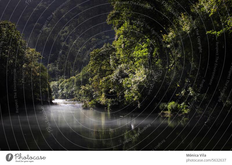 Naturpark Fragas do Eume. Fluss Eume. Atlantischer Wald. Galicien Galicia fragas do eume atlantischer Wald Park Landschaft Wasser Außenaufnahme natürlich