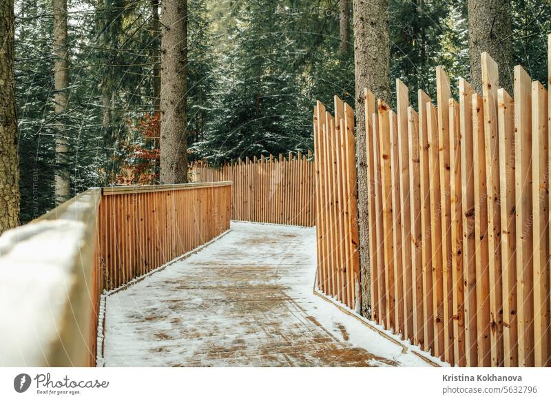 Eco hölzerne Allee im Winter Wald. Schöne Brücke in verschneiter Landschaft, niemand. Gasse Herbst fallen Weg Baum Zaun Laubwerk grün Blatt Blätter Licht Natur