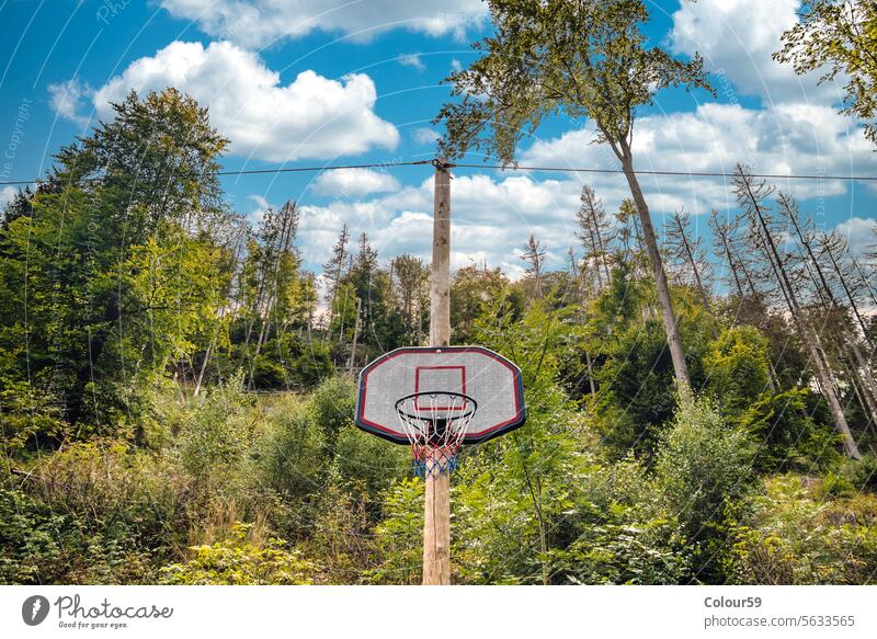 Basketball umgeben Wald im Freien Sport grün Gras Park Korb Reifen Netz alt Erholung Baum Spielplatz Holzplatte Natur Gericht Feld Bäume Hintergrund spielen