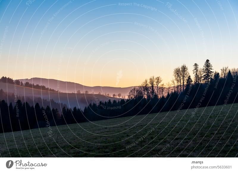 Alles klar lila klare luft Natur Landschaft Urelemente Wolkenloser Himmel Schönes Wetter Nadelbaum Wiese Wald Hügel Berge u. Gebirge dunkel schön Stimmung