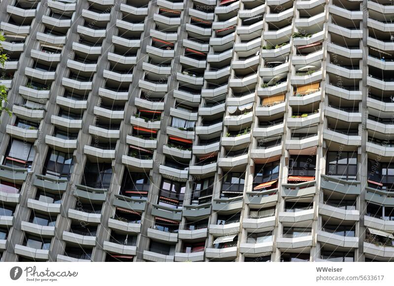 Hochhaus in Mannheim, beste Aussicht, sozialer Wohnungbau Kiez Bezirk Fassade Plattenbau Hochhäuser Brennpunkt wohnen Wohnungsbau draußen Treffpunkt Zuhause