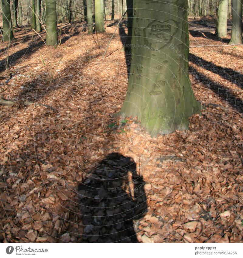 Schatten einer jungen Frau, die beim Fotografieren fotografiert wird schatten Licht & Schatten Sonnenlicht Schattenwurf Licht und Schattenspiel Silhouette