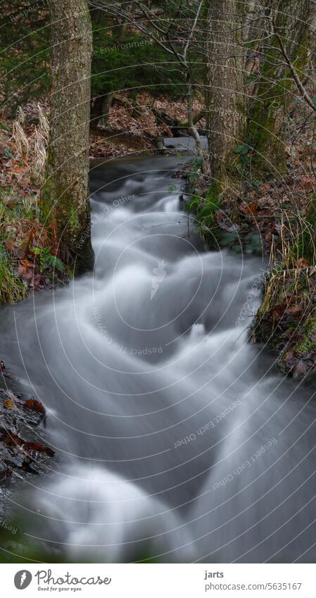 kleiner Bach im Spessart fließendes wasser Märchen Traum Bewegungsunschärfe Wasser Natur Außenaufnahme Farbfoto Wald Märchenwald irreal Langzeitbelichtung Baum