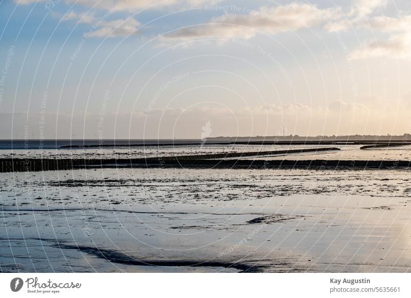 Nationalpark Wattenmeer Nordseeküste Küste Natur Insel Landschaft Insel Sylt Naturschutzgebiet Nordseeinsel Schleswig Holstein Farbfoto Vogelschutzgebiet