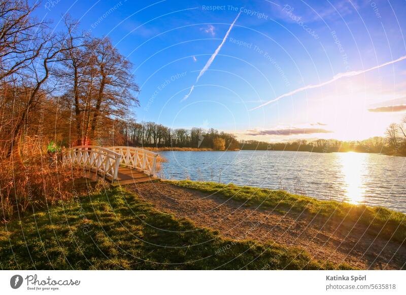 Abendsonne am Teich mit Brücke Wasser Sonnenlicht Sonnenuntergang See Natur Park Parkanlage Schlosspark Holzbrücke Sonnenstrahlen Sonnenschein Himmel Weg blau