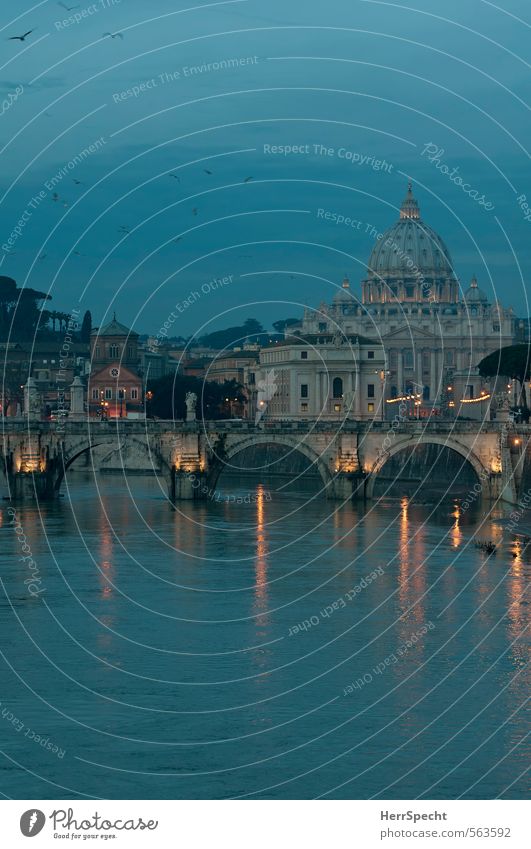 Blaue Stunde am Tiber Flussufer Rom Vatikan Italien Stadt Hauptstadt Stadtzentrum Altstadt Kirche Dom Brücke Gebäude Sehenswürdigkeit Wahrzeichen Denkmal