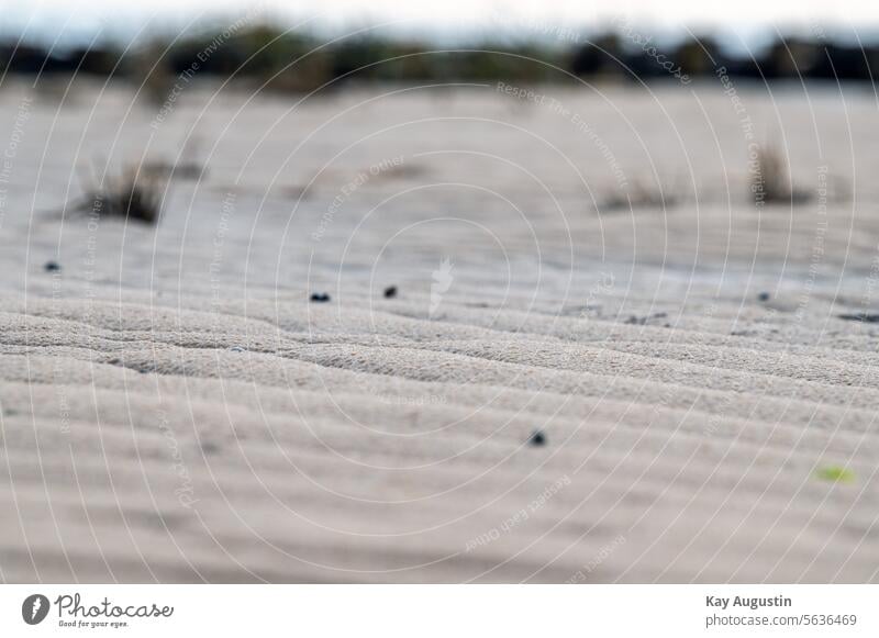 Strukturen am Watt Ufer Meer Nordsee Wattenmeer Nordseeküste Natur Küste Gezeiten Insel Landschaft bokeh nationalpark wattenmeer strukturen im wattenmeer