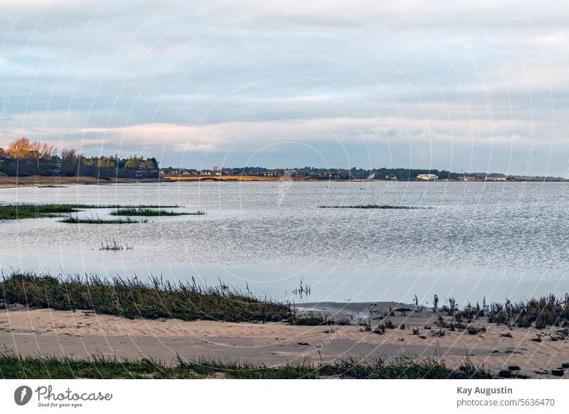 Am Wattenmeer Nordsee Küste Schilf Insel Sylt Schilfpflanzen Nordseeinsel Munkmarsch Hafen Munkmarsch Landschaft Naturschutzgebiet Lügenbrücke