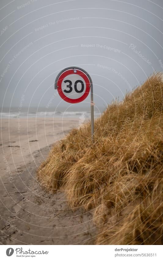 Düne mit Straßenschild in Dänemark II relaxation erholen & entspannen" Erholungsgebiet baden Freiheit Urlaub Urlaubsstimmung Außenaufnahme Meer Farbfoto