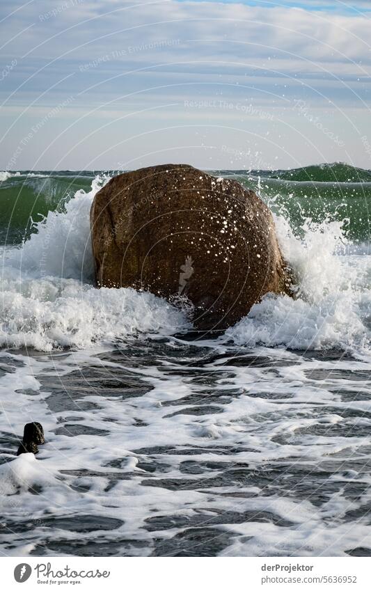 Ostsee und Stein im Winter Kreide Schönes Wetter Starke Tiefenschärfe Mecklenburg-Vorpommern Umwelt Ferien & Urlaub & Reisen Landschaft Natur schlechtes Wetter