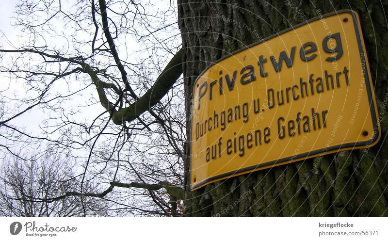 Privat??? privat Privatweg gelb Baum Baumrinde Schilder & Markierungen Natur