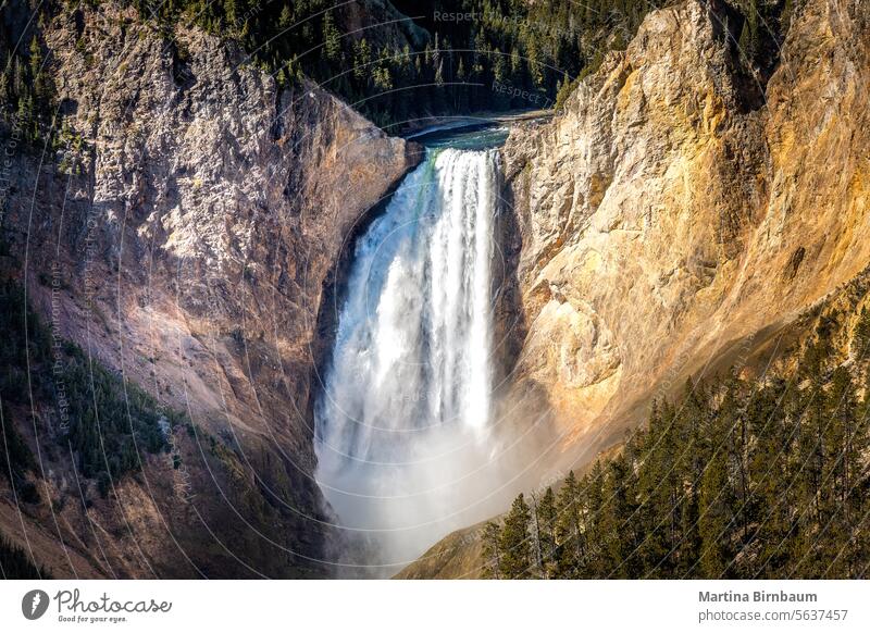 Wasserfall im Grand Canyon of the Yellowstone, Yellowstone National Park Yellowstone Nationalpark Grand Canyon des Yellowstone Natur Landschaft schön im Freien