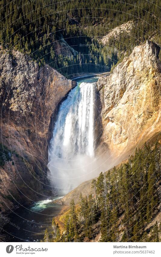 Wasserfall im Grand Canyon of the Yellowstone, Yellowstone National Park Yellowstone Nationalpark Grand Canyon des Yellowstone Natur Landschaft schön im Freien