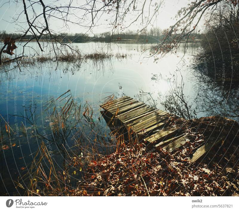 Geplänkel Steg Planken Holz alt unsicher brüchig riskant gefährlich Vorsicht Betreten auf eigene Gefahr Wasseroberfläche See Wasserspiegelung entlegen draußen