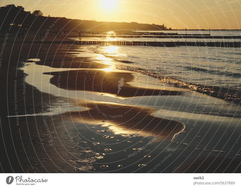 Strandlicht Sandstrand Außenaufnahme Sonnenuntergang Abend Fernweh Sehnsucht Panorama (Aussicht) Wasser Umwelt Ferne Natur Farbfoto Landschaft Sonnenlicht