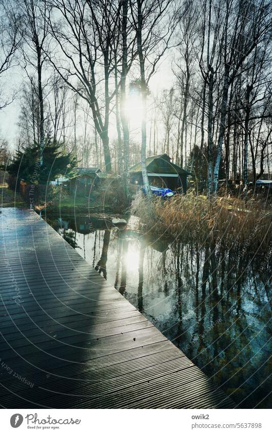 Nicht ausrutschen Steg Anlegestelle Wasser See Außenaufnahme Reflexion & Spiegelung Farbfoto ruhig Seeufer Küste Landschaft Wasseroberfläche Stimmung Abend