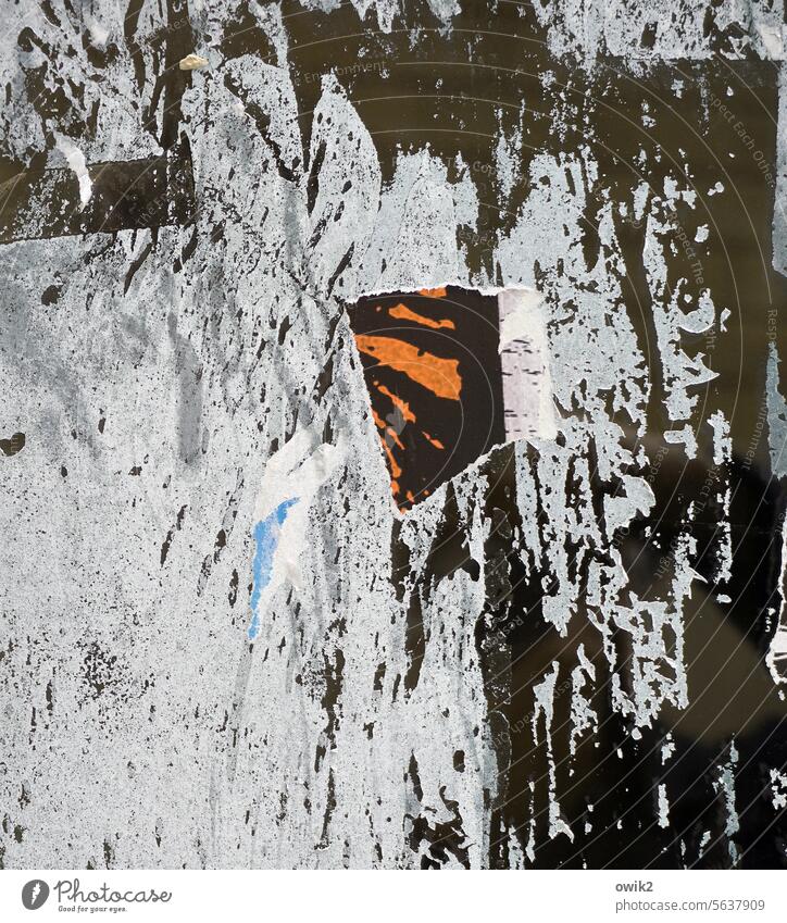 Rückständig Schaufenster Glas Papierreste abblättern abgekratzt Teile u. Stücke chaotisch Außenaufnahme Farbfoto Vergänglichkeit schäbig zerkratzt Spuren Reste