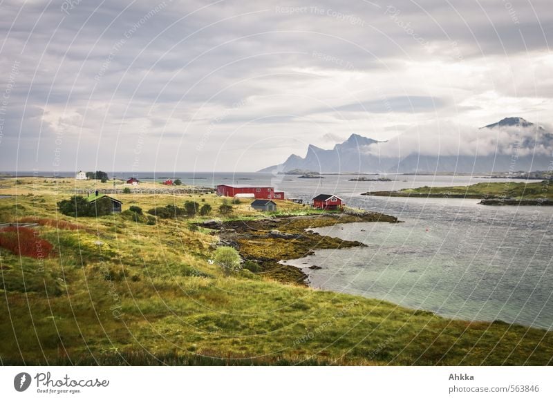 kalter Hauch Natur Landschaft Klima Sturm Sträucher Wiese Berge u. Gebirge Küste Bucht Fjord Meer Lofoten Norwegen Dorf Fischerdorf Menschenleer Haus Fabrik