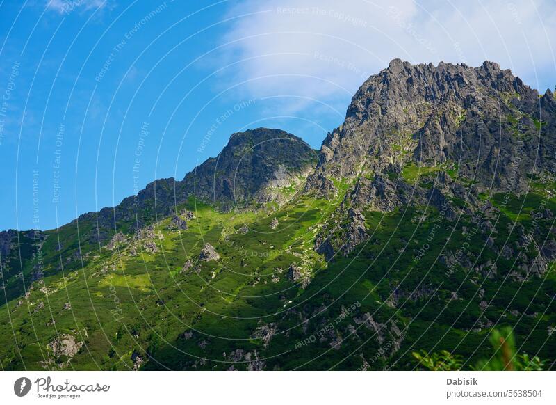 Erstaunliche Aussicht auf die mit Waldbäumen bedeckten Berggipfel Berge Natur reisen Landschaft wandern Gipfel Morskie Oko grün Himmel Nationalpark Sommer blau